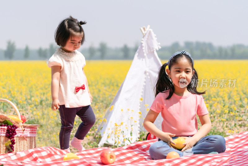 夏天两个在油菜花田边野餐的女孩