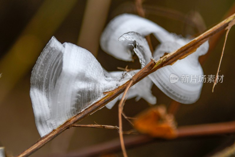 重庆酉阳：冻雨.冰花