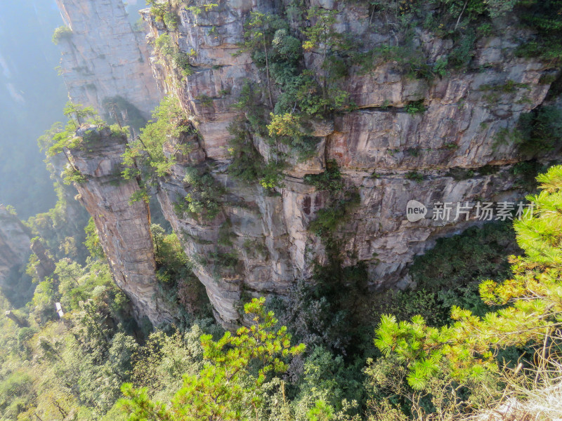 中国湖南张家界国家森林公园旅游风光