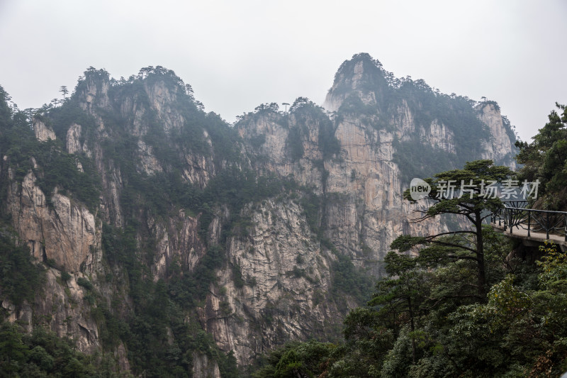 云海中的大明山