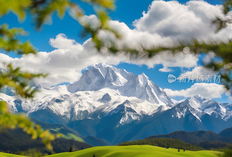 雪山草原森林风景