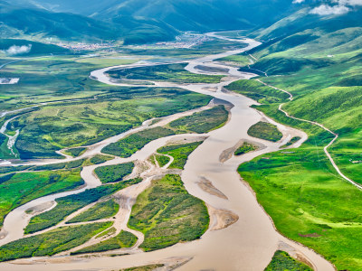 黄河湿地美景