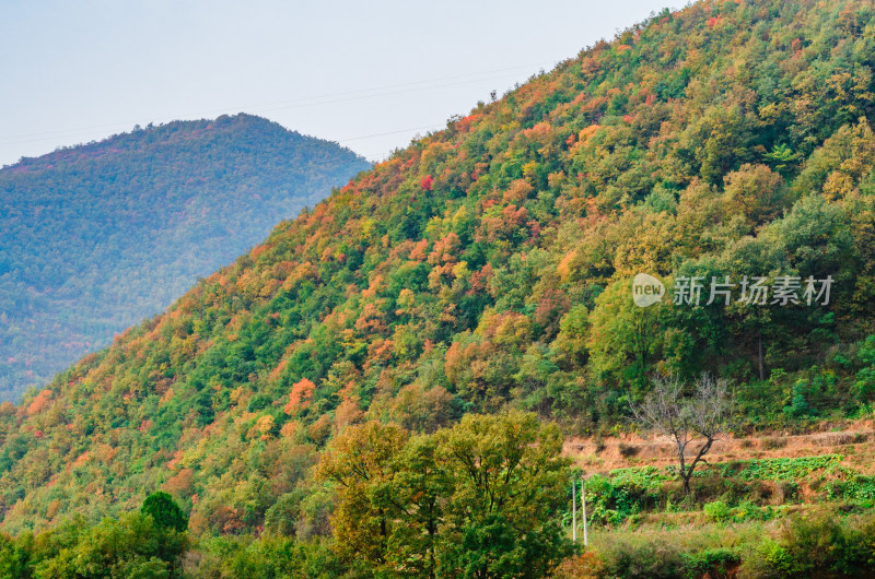 河南洛阳白云山风景区秋色