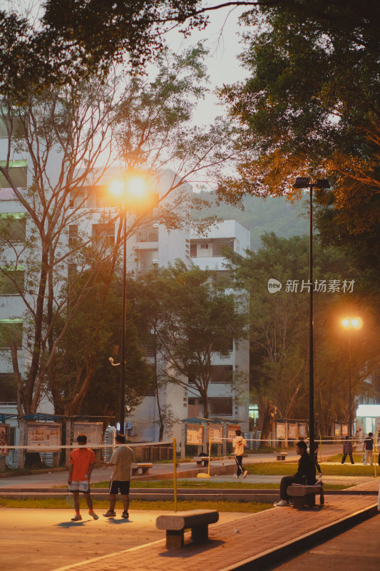 校园傍晚休闲场景，学生活动氛围浓厚