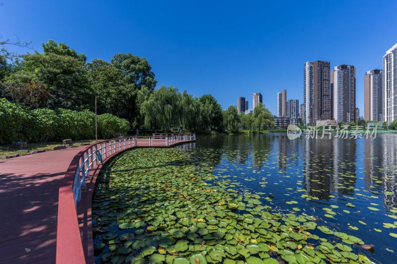 武汉武昌区内沙湖公园风景