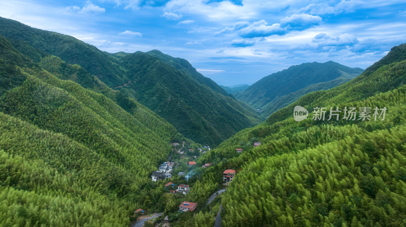 航拍浙北大峡谷山间竹林风光