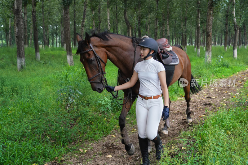 林间小路漂亮的年轻女人牵着马