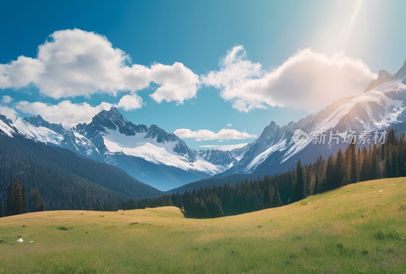 雪山高原草原森林风景