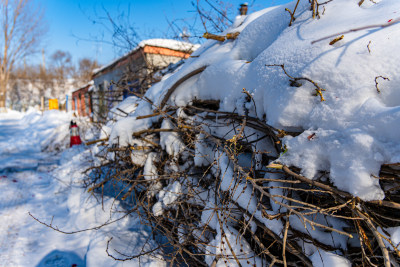 冬季积雪覆盖的空旷道路及周边景象城市