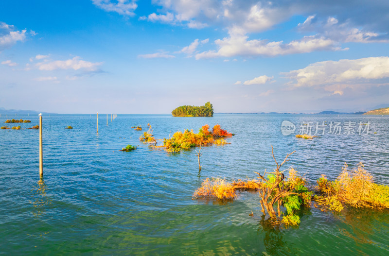 滇池湿地秋景