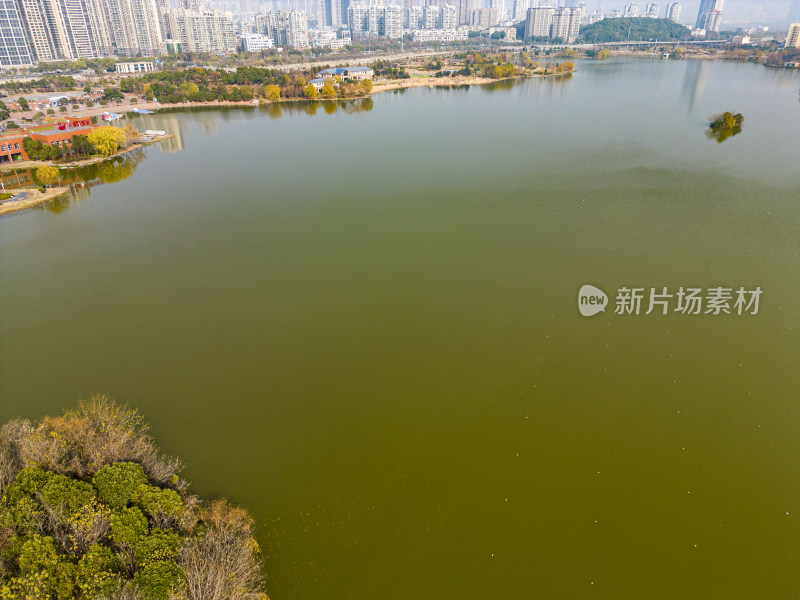 长沙月湖公园