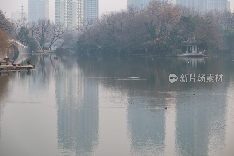 冬日，合肥市包公园湖边风景