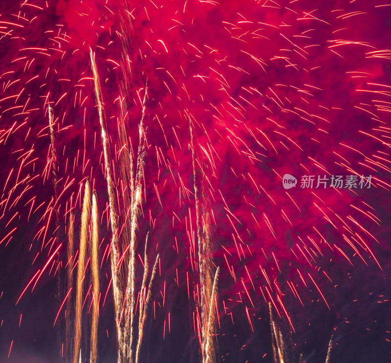 绚烂烟花绽放夜空的璀璨景象