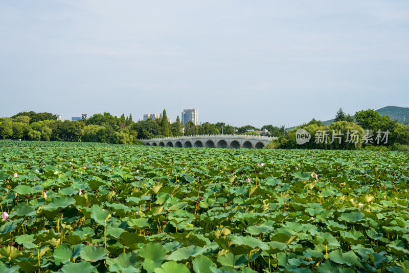 夏季白天航拍江苏徐州云龙湖风景区自然风光