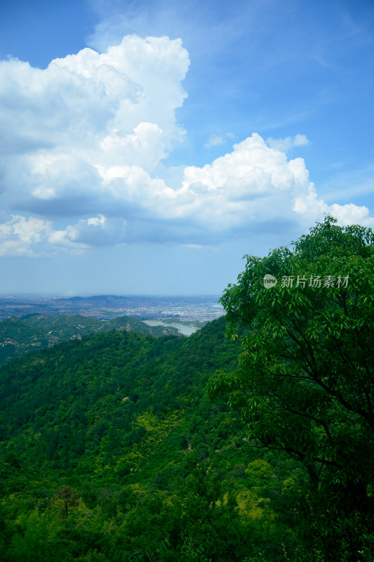 山中的风景