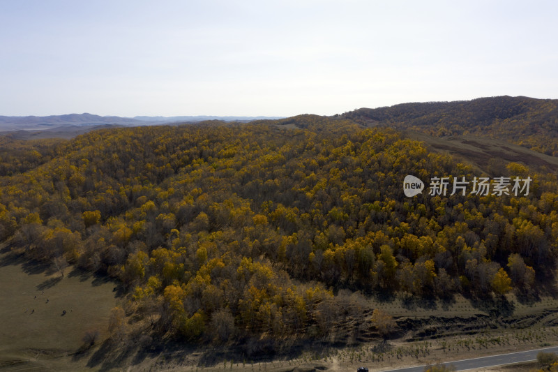 乌兰布统秋景