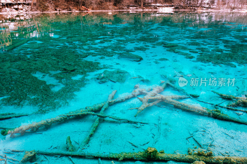 川西九寨沟冬季雪山碧蓝海子唯美