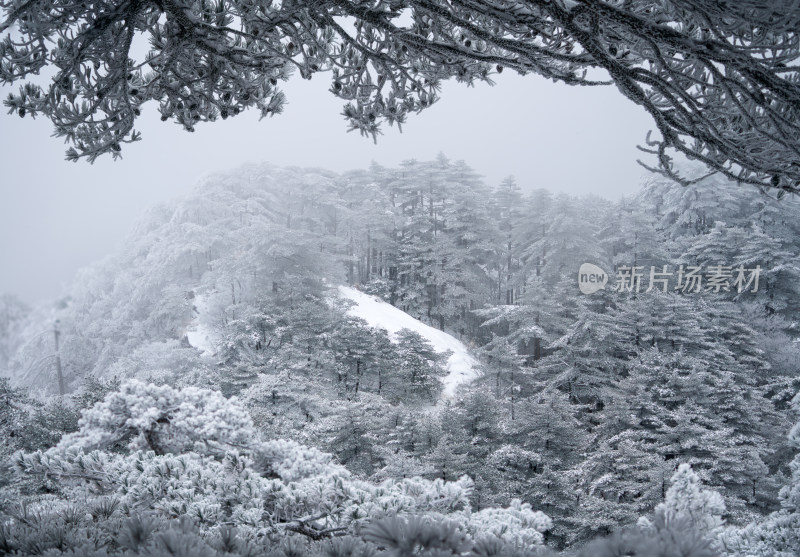 黄山被雪覆盖的山林，银装素裹的自然景观