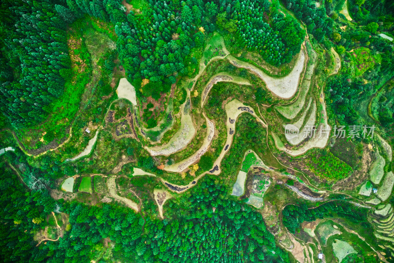 贵州山区的梯田