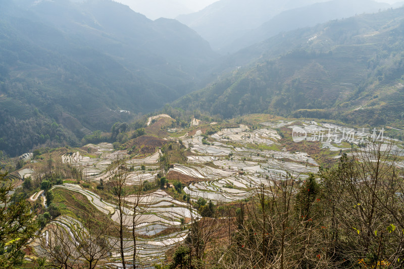 红河州元阳梯田自然风光