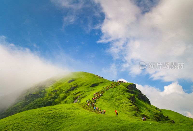 夏天江西武功山的高山草甸