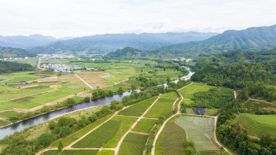 航拍武夷山绿色农田与茶园