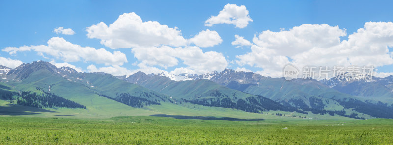 中国新疆伊犁那拉提草原自然风景