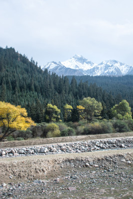 青海海西祁连山雪山森林自然风光