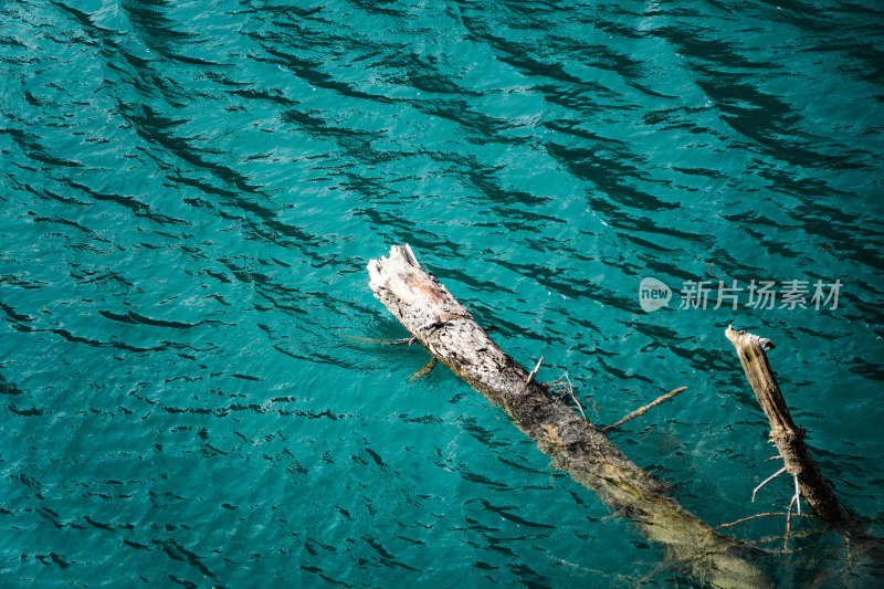 九寨沟的清澈湖水景观