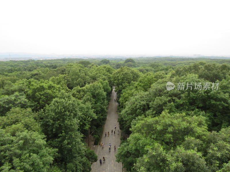 南京紫金山灵谷寺风景区