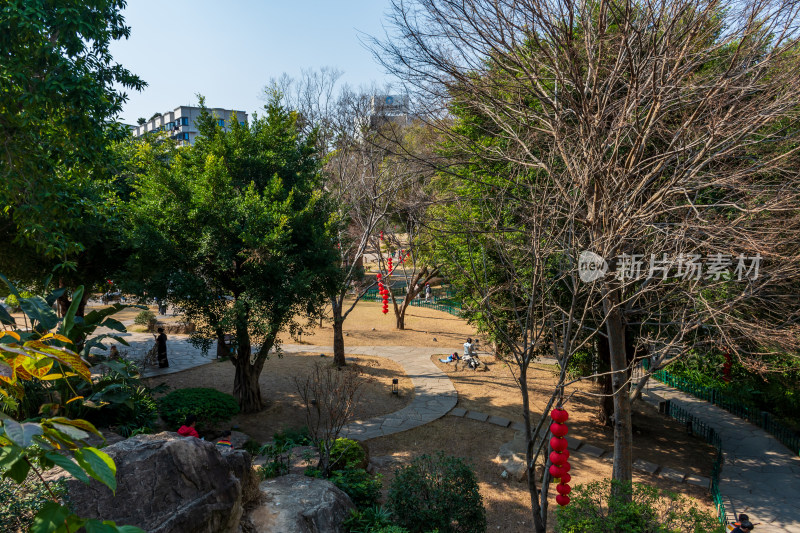 福州春天绿意盎然的冶山春秋公园景色