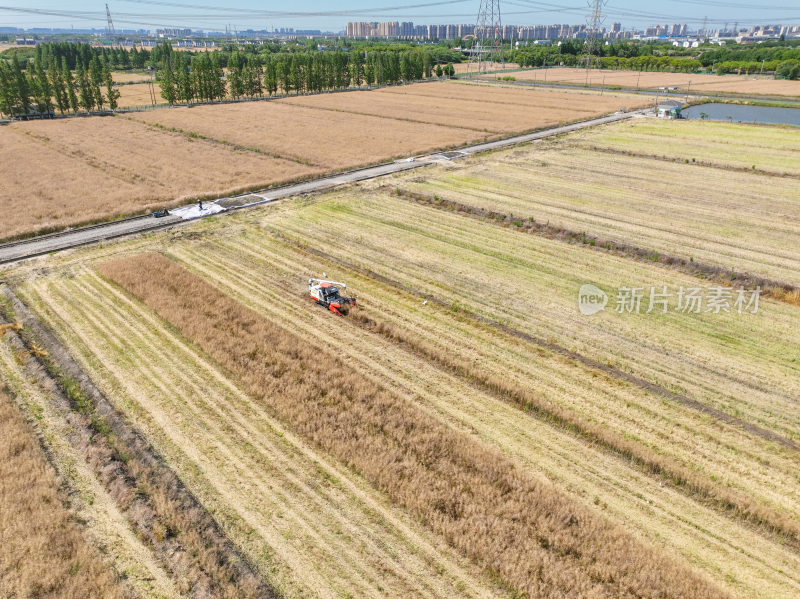 航拍夏收正当时