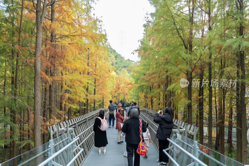 福州福道行人漫步山林间环形步道