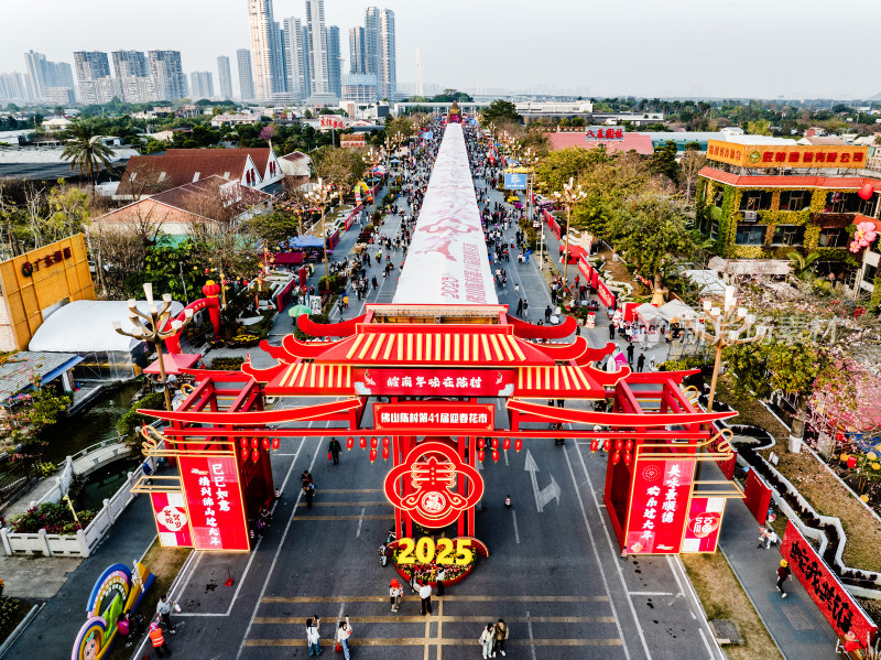 中国广东省佛山顺德区陈村花卉世界迎春花市