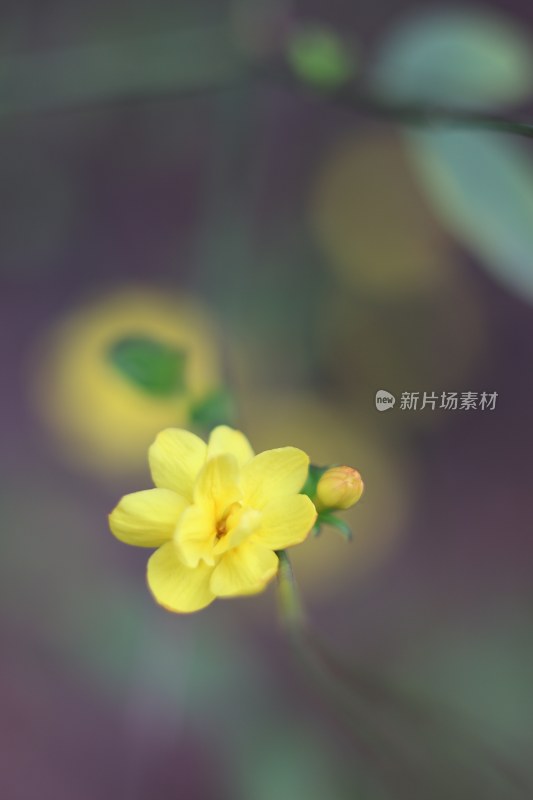 春暖花开