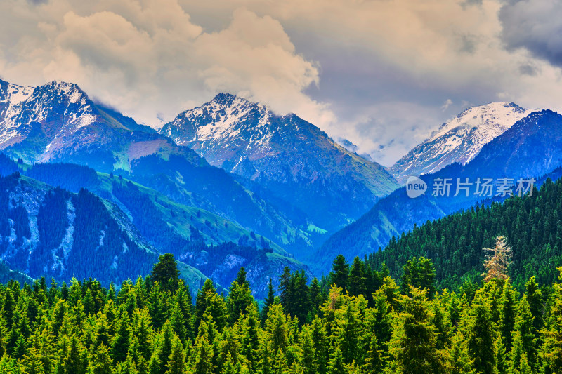 郁郁葱葱的天山