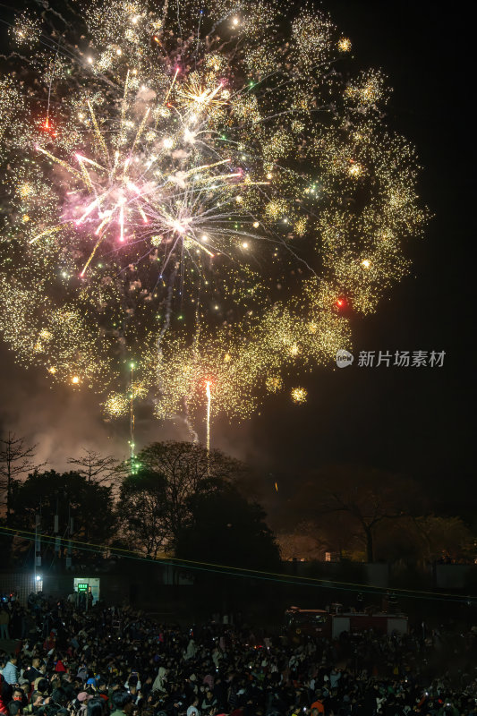 广东梅州中国非遗顺丰火龙狂舞夜焰火龙腾