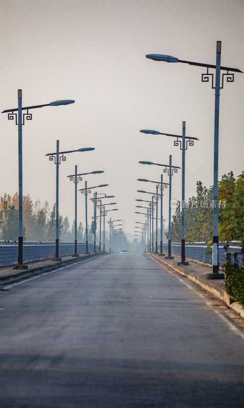 道路上整齐排列的中式路灯