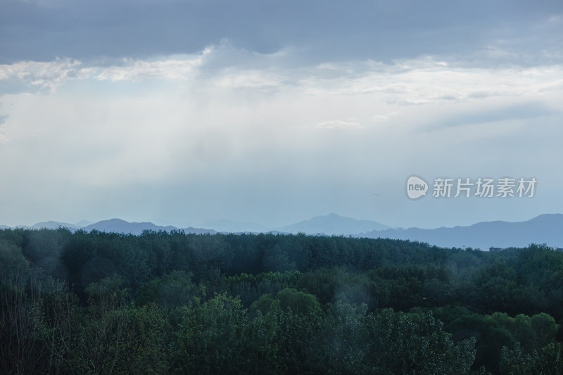 雨中的城市风光