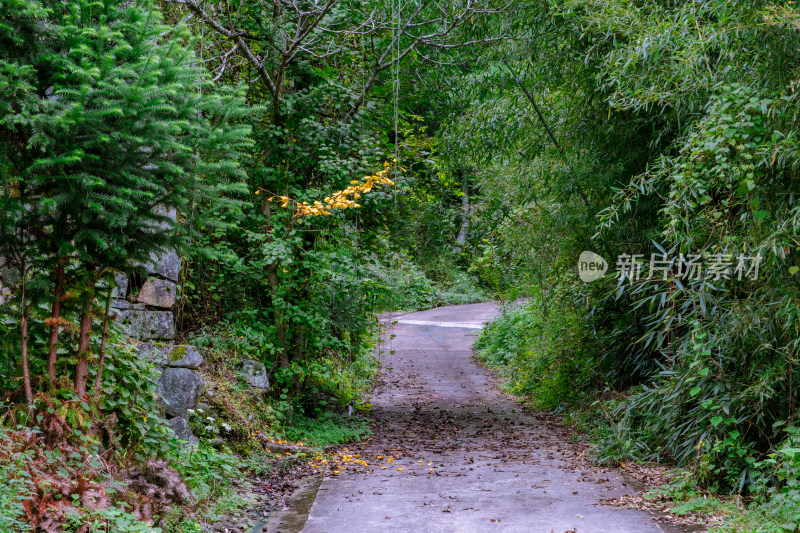 汉中留坝火烧店镇秦岭深处的山中小路