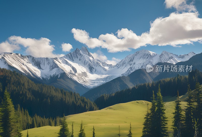 雪山高原草原森林风景