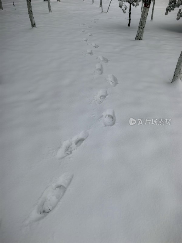 雪地上延伸的一串脚印