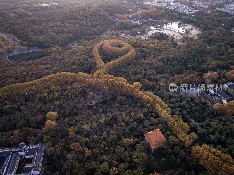 江苏南京中山陵美玲宫浪漫金秋项链日出航拍