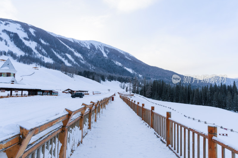 中国新疆喀纳斯冬季雪景冰雪旅游春节旅游