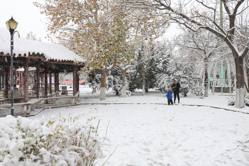 雪后的公园 (6)