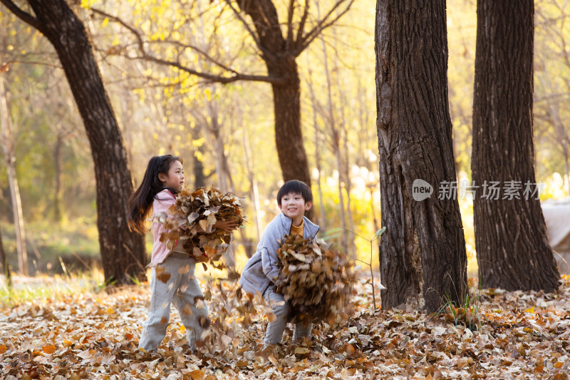 可爱的男孩女孩在户外玩树叶