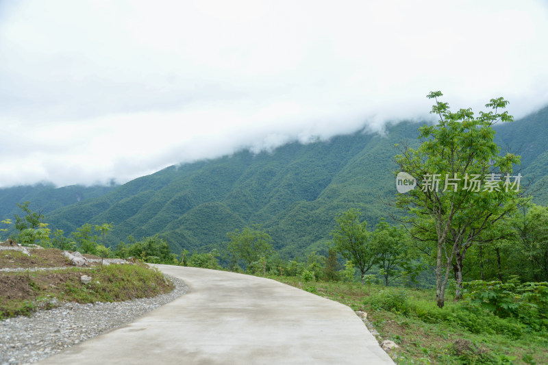 山间田园水泥路风景