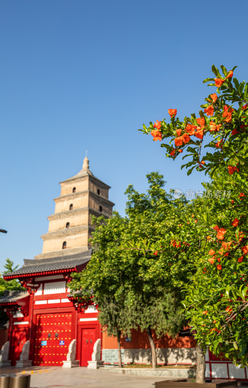 西安大雁塔大慈恩寺遗址公园释迦牟尼像景观