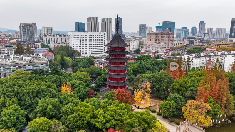 城市中式塔楼与秋色景观