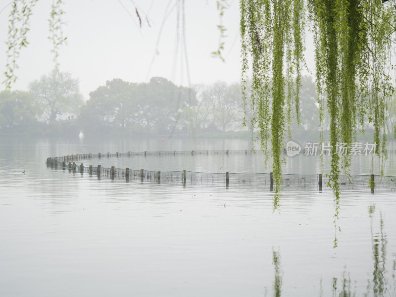 杭州西湖花港观鱼风景